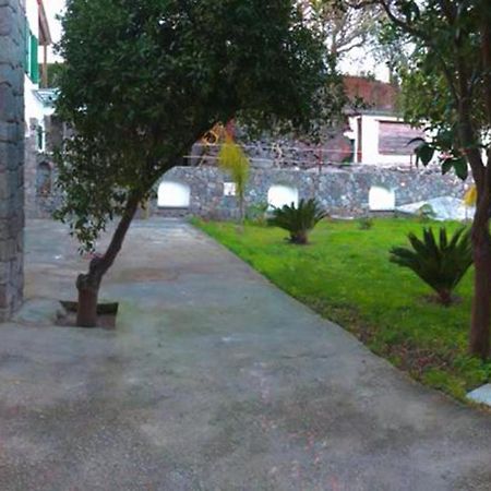 B&B Carpe Diem Domus Ischia Exteriér fotografie
